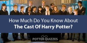 The Ultimate Harry Potter Cast Quiz