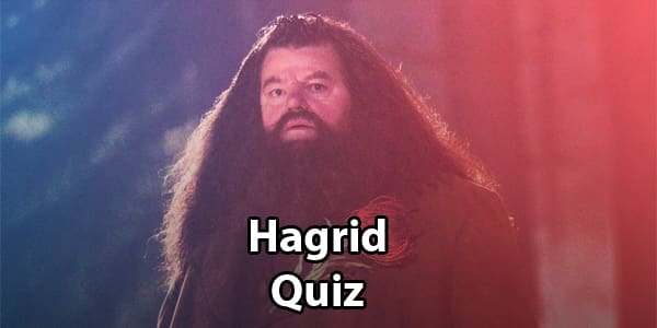 Hagrid Quiz and trivia