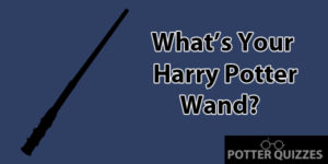 This Harry Potter Wand Quiz Will Let You Know Your Core (In 2024)