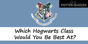 Harry Potter Class Quiz: Which Hogwarts Subject Would You Ace?