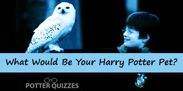 harry potter pet quiz