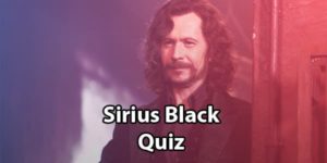 Sirius Black Quiz: Are You The Ultimate Fan?