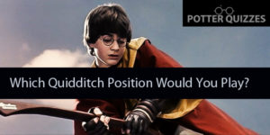 Quidditch Quiz: Which Position Would You Play?