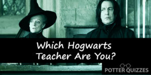 Which Hogwarts Professor Are You?