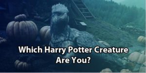 Harry Potter Animal Quiz: Which Creature Are You?