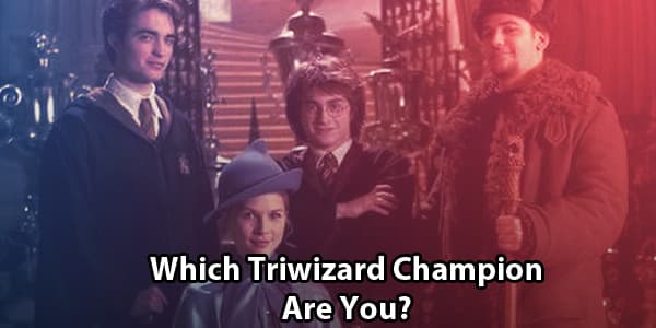 Which Triwizard Champion Are You?