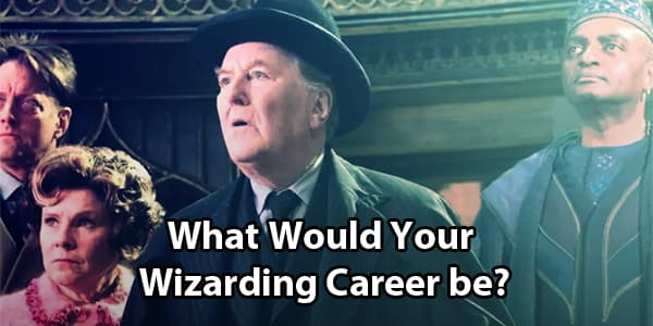 What Would Your Career Be In Harry Potter?