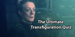 Harry Potter Transfiguration Quiz: Test Your Knowledge