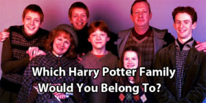 Which Harry Potter Family Are You In?