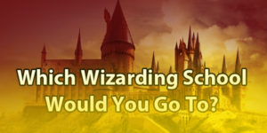 Which Wizarding School Would You Go To?
