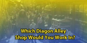 Diagon Alley Quiz: Which Shop Would You Work At?