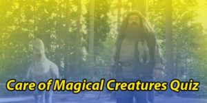 The Ultimate Care of Magical Creatures Quiz