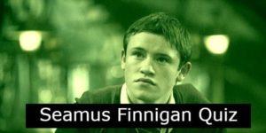 Seamus Finnigan Quiz: How Much Do You Know About Him?