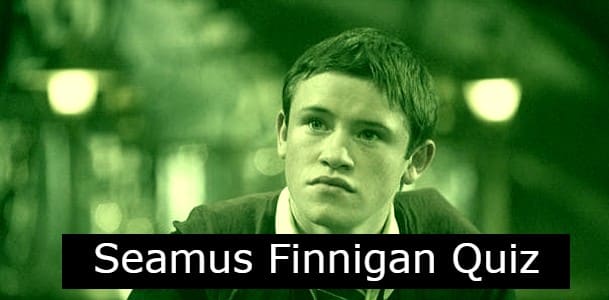 Seamus Finnigan Quiz