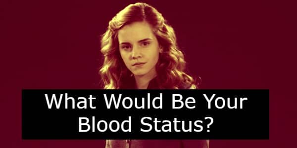 Harry Potter Blood Status Quiz: What Would Yours Be?
