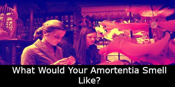 Amortentia Quiz