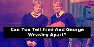 Can You Tell Fred And George Apart? Take The Quiz