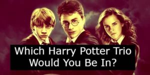 Which Harry Potter Trio Would You Be In?