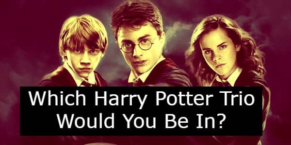 Which Harry Potter trio are you