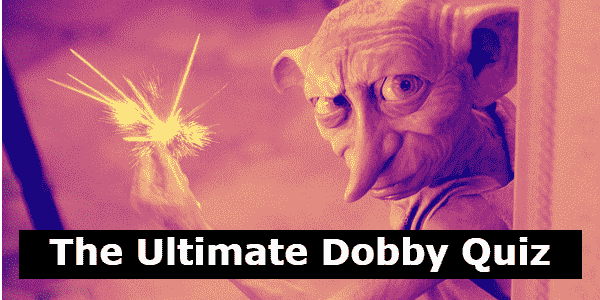 The Ultimate Dobby Quiz