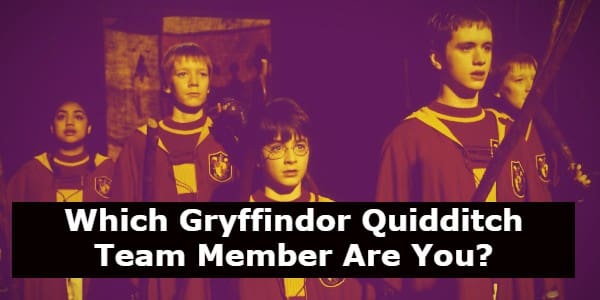 Which Gryffindor Quidditch Team Member Are You?