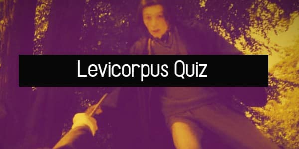 Levicorpus