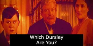 Which Dursley Are You?