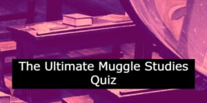 The Ultimate Muggle Studies Quiz