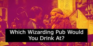 Which Wizarding Pub From Harry Potter Would You Drink At?