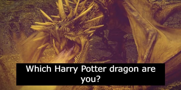 Which dragon are you