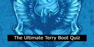 The Ultimate Terry Boot Quiz